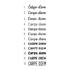Carpe diem sticker lettertypes.